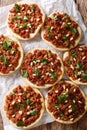 BeefÃÂ Sfiha Lebanese mini pizzas topped with ground beef, onions, tomato, and pine nuts closeup. Vertical top view